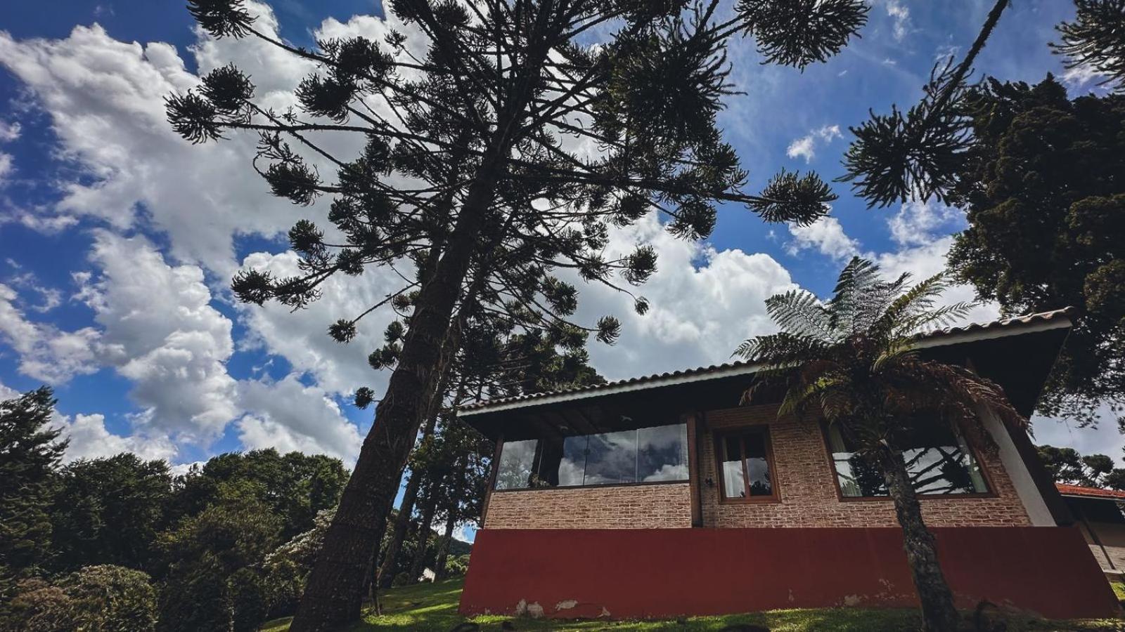 Estalagem Mandeville Monte Verde  Luaran gambar